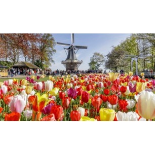 AMSTERDAM - du 12 au 14 avril 2022 AMSTERDAM - du 12 au 14 avril 2022