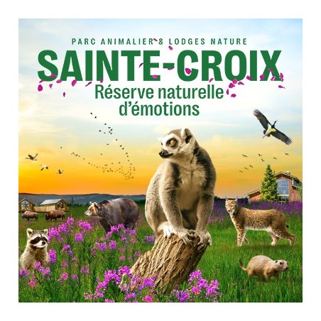 Parc animalier de sainte croix adul - à partir de 12 ans - 31.12.26 