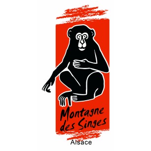 Montagne des singes enfant - de 5 à 14 ans