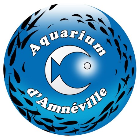 Aquarium amneville adulte - à partir de 12 ans