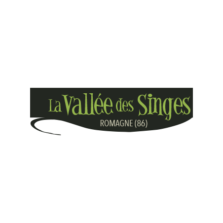 La vallee des singes - à partir de 13 ans - sur commande 15 j de déla