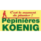 Pepinieres koenig