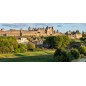 Cité de Carcassonne dès 26 ans - sur commande 15 jrs