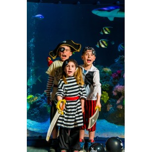 Cite de l'ocean - à partir de 13 ans Cite de l'ocean - à partir de 13 ans
