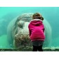 Pairi daiza - de 3 à 11 ans - saison 25 jusqu'au 04-01-26 