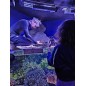 Aquarium de biarritz - de 4 à 12 ans - sur commande 15 j de délai