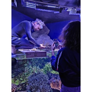 Aquarium de biarritz - à partir de 18 ans - sur commande 15 j de déla