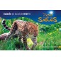 Zoo des Sables d'Olonne dès 11 ans  - sur commande 15 j de délai