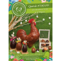 Chocolaterie Gourmandises