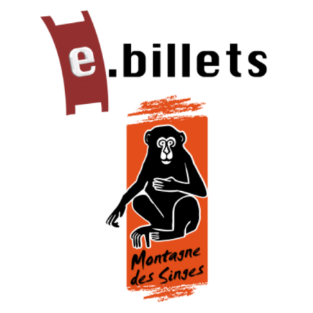 E billet Montagne des singes adulte - à partir de 15 ans