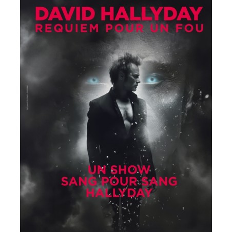 David Hallyday - 14.03.26 - 20h30 - Cat 1 - Zenith Nancy