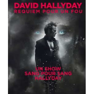 David Hallyday - 14.03.26 - 20h30 - Cat 2 - Zenith Nancy