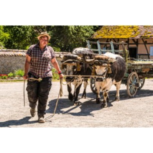Ecomusée d'Alsace senior - à partir de 65 ans