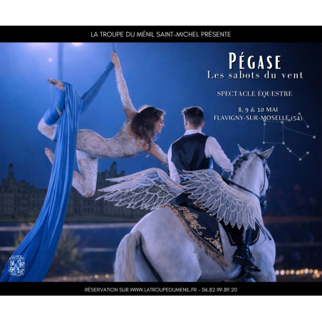Ménil St Michel - Pégase - 10.05.26 - 15h30 - Moins 12 ans