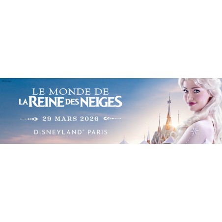 Disneyland paris 1 parc flex pour we, vac, fériés - dès 3 ans